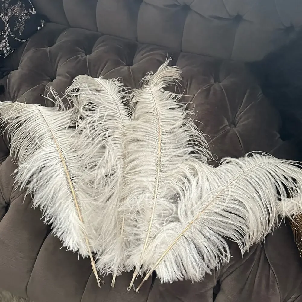 Real Ostrich Feathers 4 large Home Accent